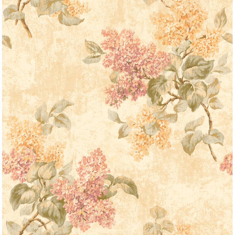  Designs Mauve Pavla Hydrangea, Pêche