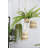 Olton Hanging Planter