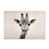 Courious Gariffe Print