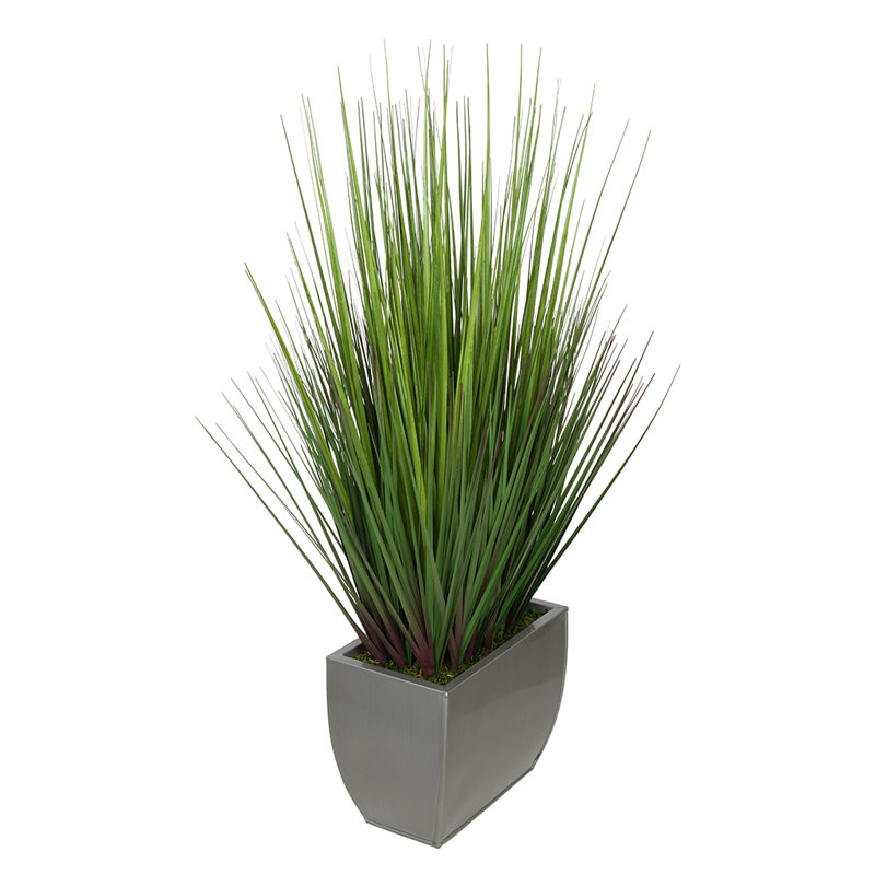Herbe à feuillage 28 po en pot, argent