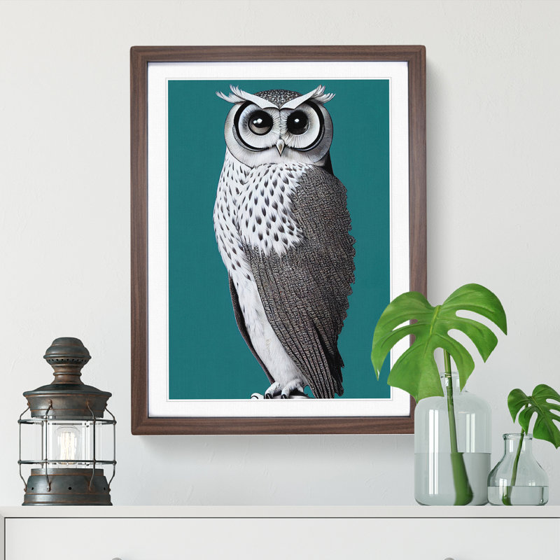 Curious Owl - Single Picture Frame Print, 34cm H x 25cm W x 2cm D, Walnut