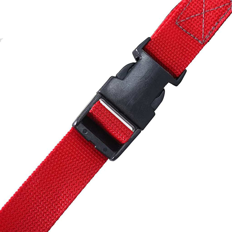 Tente de voiture imperméable pour 4 personnes Vidaxl, Bleu