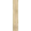 Sapin Douglas-112789701-112789689