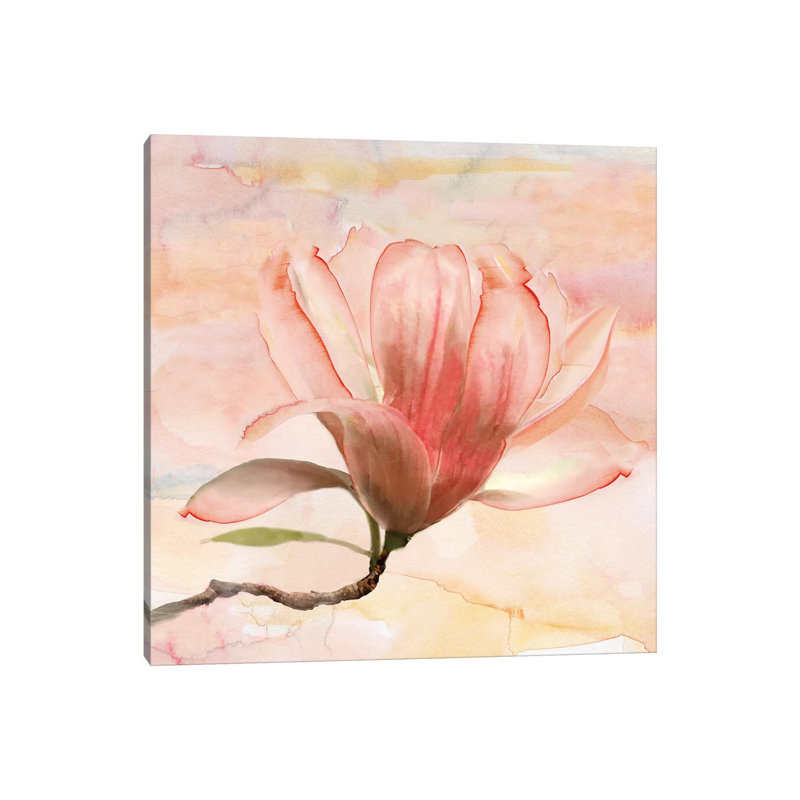 Dreamy Magnolia I by Nan - Print on Canvas, 66.04 cm H x 66.04 cm W x 3.175 cm D, Wrapped Canvas