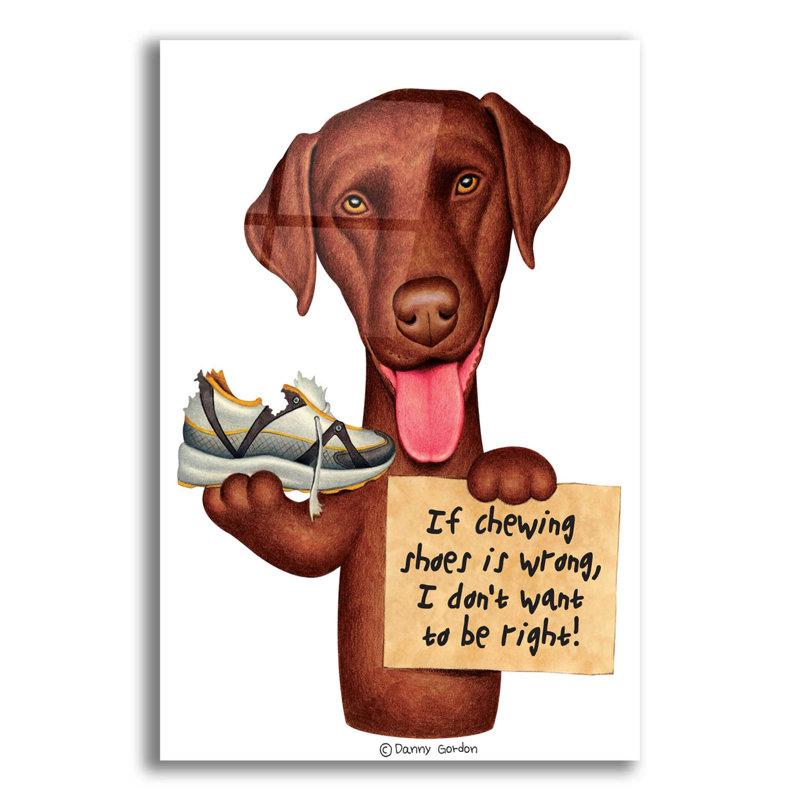 " Chocolate Lab Holding Sneaker ", 16" H x 12" W x 0.13" D