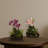Orchid Island Silk Arrangement Set of 2