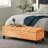 Amalfi Upholstered Storage Bench-2071229608-2052669149