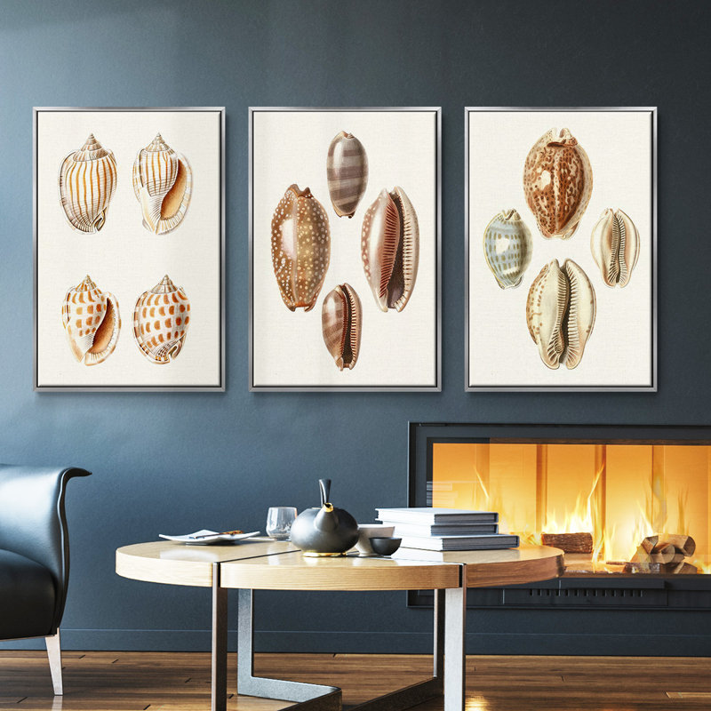 Lamarck Shells II, ensemble de 3 toiles encadrées, H 27 po x l 54 po, Encadrement argenté