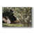 White Floater Framed Canvas is out of stock
