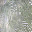 Feuilles de palmier tropicales 3-d