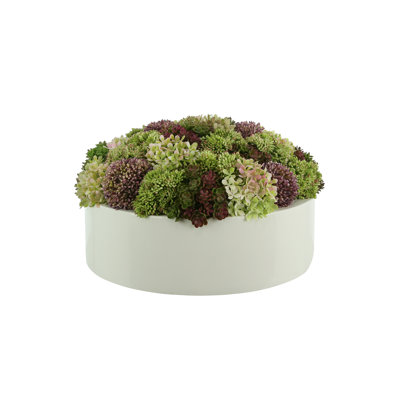 Multi Color Sedum Arrangement in White Planter