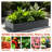 6 - Foot, Galvanized, Raised Bed, Black, Outdoor, Planter, Succulents, Vegetables, Weather , Baking Varnish Foot Long Galvanized Black Outdoor Container For Vegetables And Rust Design-1203594727