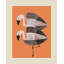 Tangerine Flamingos-1193560844