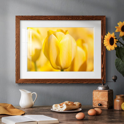 Sunshine Yellow II - mat et encadré sous verre acrylique, grand art mural de salon
