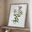 Rose Botanical III, reproduction encadrée - bois massif 47459-1707745679