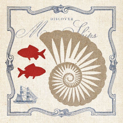 Pacific Nautilus by Studio Mousseau - Wrapped Canvas Painting