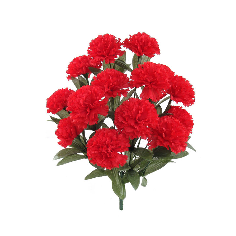 Oeillet, Rouge