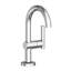 Pavani Single Hole Bathroom Faucet with Drain Assembly-316915024