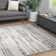 Anandita Stripe Grey Area Rug