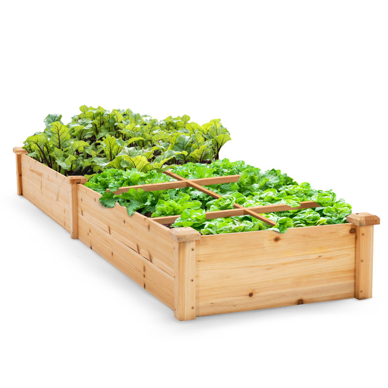 Lit de jardin surélevé en bois Olivers