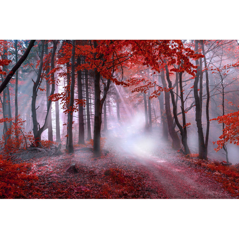 Mystical Red Forest par David Ziegler - Photographie sur toile tendue, H 8 po x l 12 po x P 1,25 po