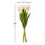 Vickerman 16"H Plum Tulip Bundle of 5.-1404122192