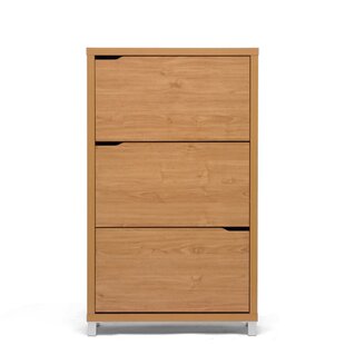 https://assets.wfcdn.com/im/26409646/resize-h310-w310%5Ecompr-r85/1429/142972758/simms-modern-shoe-cabinet.jpg