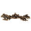 Carlotta Bar / Handle Pull-10365396