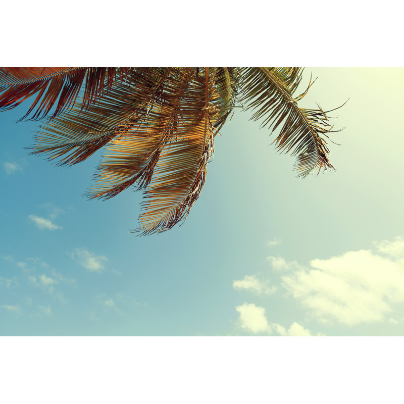 Tropical Island - Wrapped Canvas Print, 30cm H x 46cm W x 3.8cm D