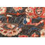 Aryana Hand Knotted Wool Oriental Area Rug