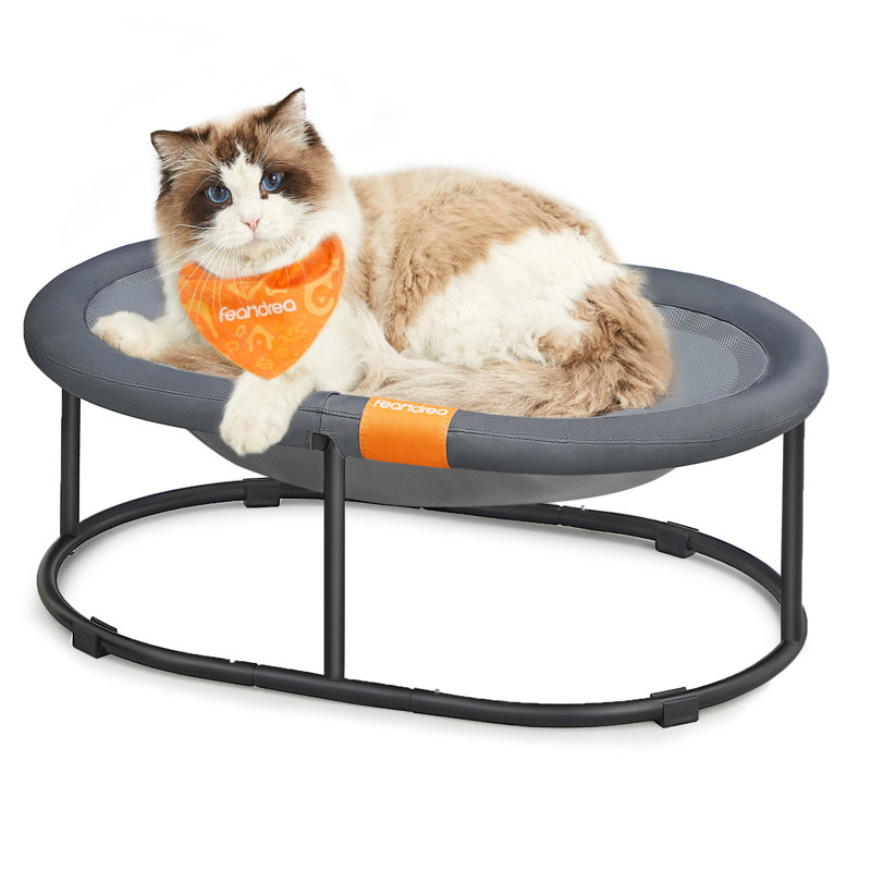 Lit pour animal de compagnie, lit pour chat surélevé pour grands chats, lit pour chien pour petits chiens, avec filet amovible lavable, pour animaux de compagnie jusqu'à 28 lb, ovale