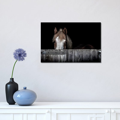 Peek a Boo par Paul Neville - Photographie sur toile tendue