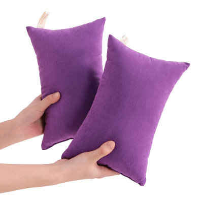 Microfiber Tiny Pillows, Machine Washable - NTBAY
