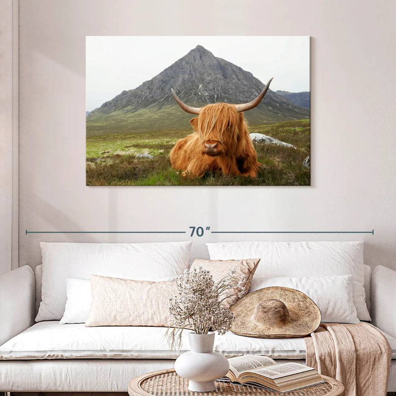 Vache sereine Brampt Highland, H 30 po x l 45 po
