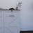 White Kitchen Trash Can Storage Cabinet With 2 Drawers And 1 Tilting Trash Cabinet And 1 Door With Storage Rack And 2 Shelves
