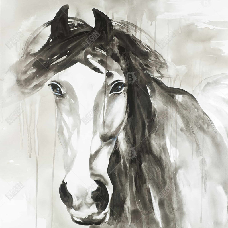" Beautiful Wild Horse "