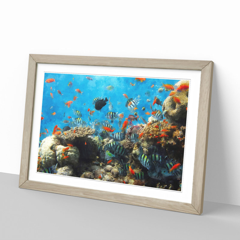 Coral Reef and Fish Vol.2 - Picture Frame Graphic Art, Oak Framed, 27cm H x 36cm W x 2cm D