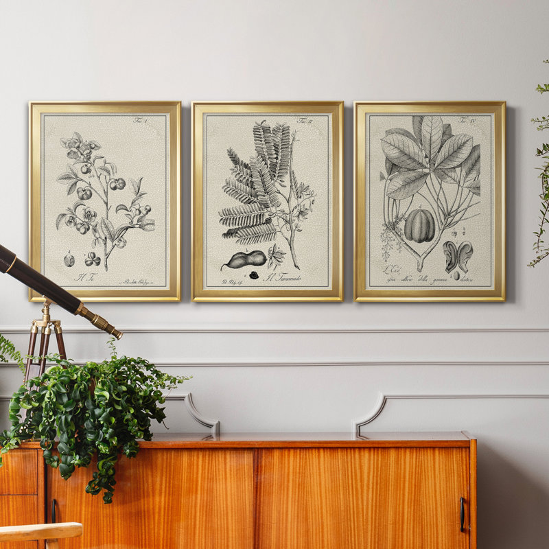 «Antique Black and White Botanical IV», ensemble de 3 peintures sur toile encadrées, H 26,5 po x l 109,5 po x P 1,5 po, Doré