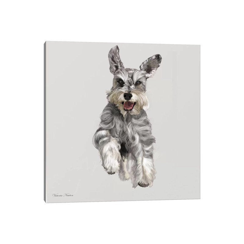 Schnauzer by Vicki Newton - Wrapped Canvas Print, 93.98 cm H x 93.98 cm W x 1.91 cm D