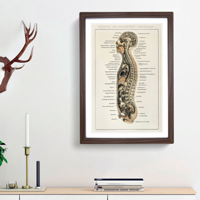 Anatomy Chart in German - Framed Print