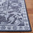 Eileena Performance Machine Washable Oriental Rug-417591301