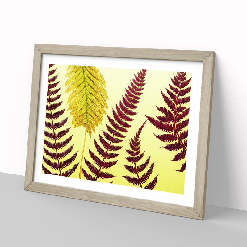 Fern Leaves - Single Picture Frame Print, 34cm H x 46cm W x 2cm D, Oak