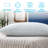 Springer Medium Pillow-830417593