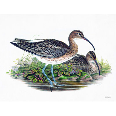 " Goulds Coastal Bird III "
