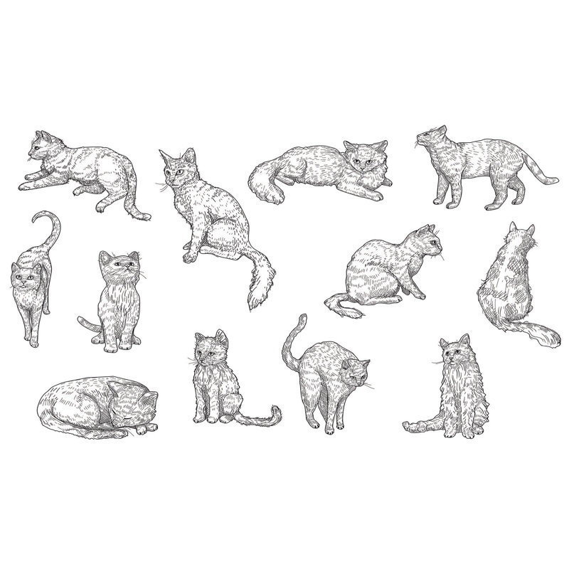 Murale pelez et collez de qualité supérieure - Croquis de chat, L 120 po x l 180 po