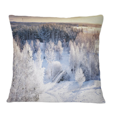 Throw Pillow