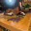Customer photo 2 of 3