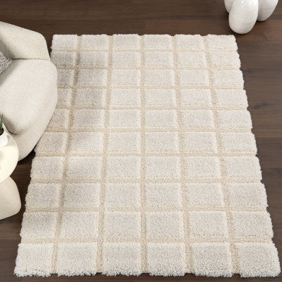 Christabel Checkered High-Low Shag Area Rug