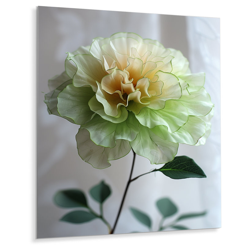 Blanc, blanc, jardin, glamour, souci, photo, souci, art mural, salon, Sans cadre, métal, H 16 po x l 32 po