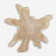 Terrains Solid Wood Wall Decor